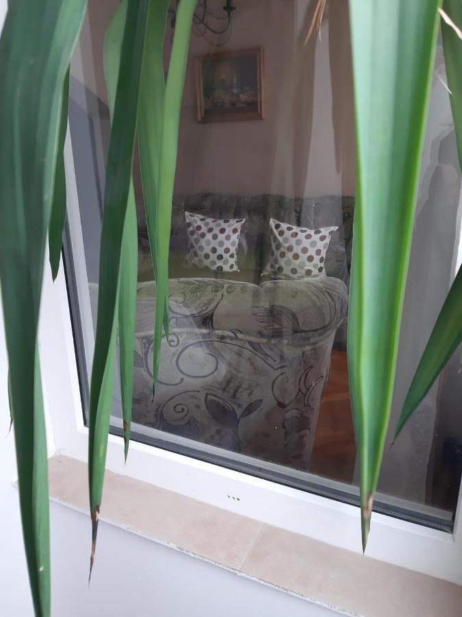 Pelican Proxy Apartment Oradea Exterior foto